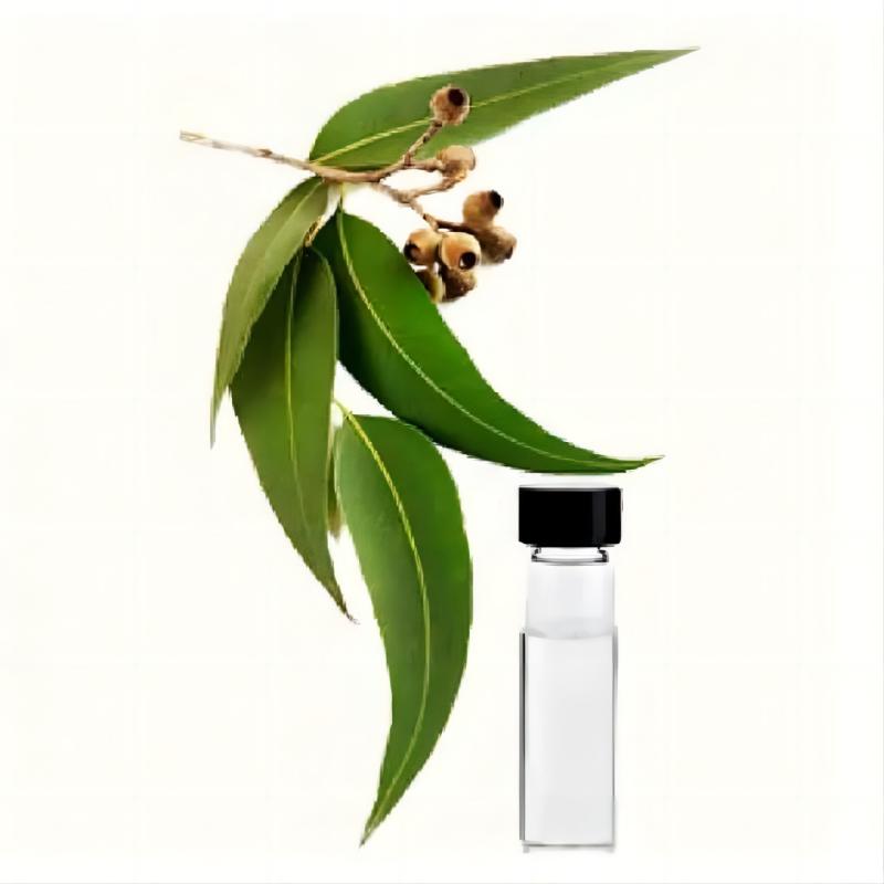 High Purity 100% Eucalyptus Oil Supplier