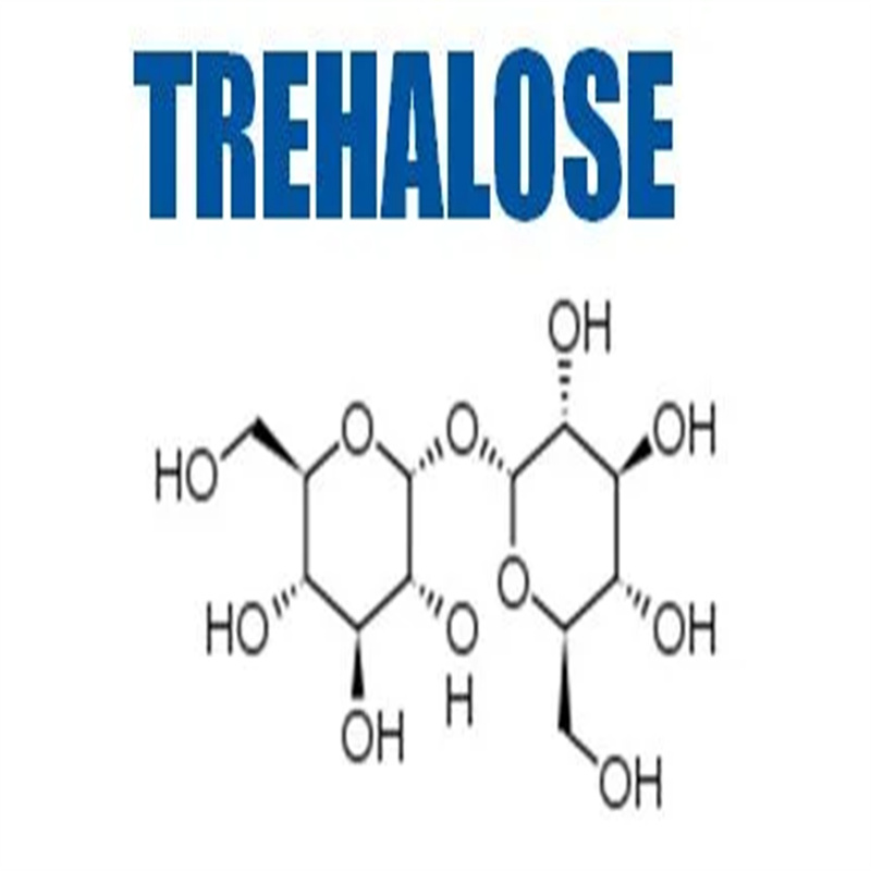 Trehalose Powder