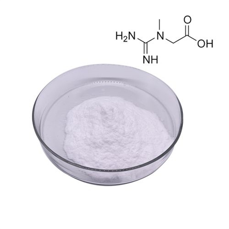 High Quality Creatine Monohydrate CAS 6020-87-7