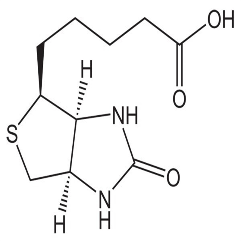 High Quality Vitamin H Vitamin B7 D-Biotin CAS 58-85-5