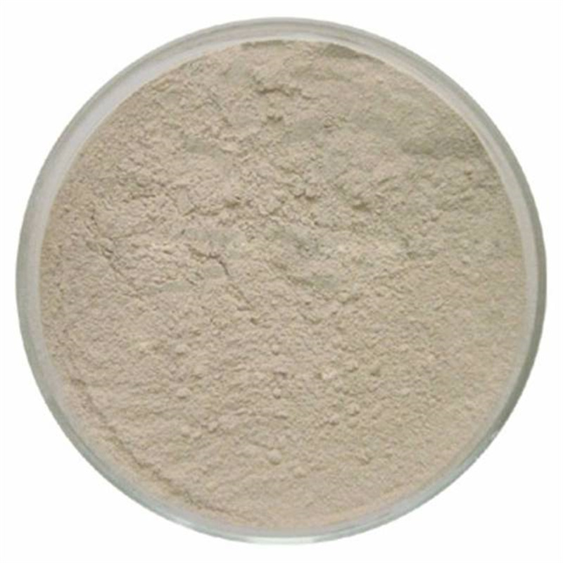 Pectin CAS 9000-69-5