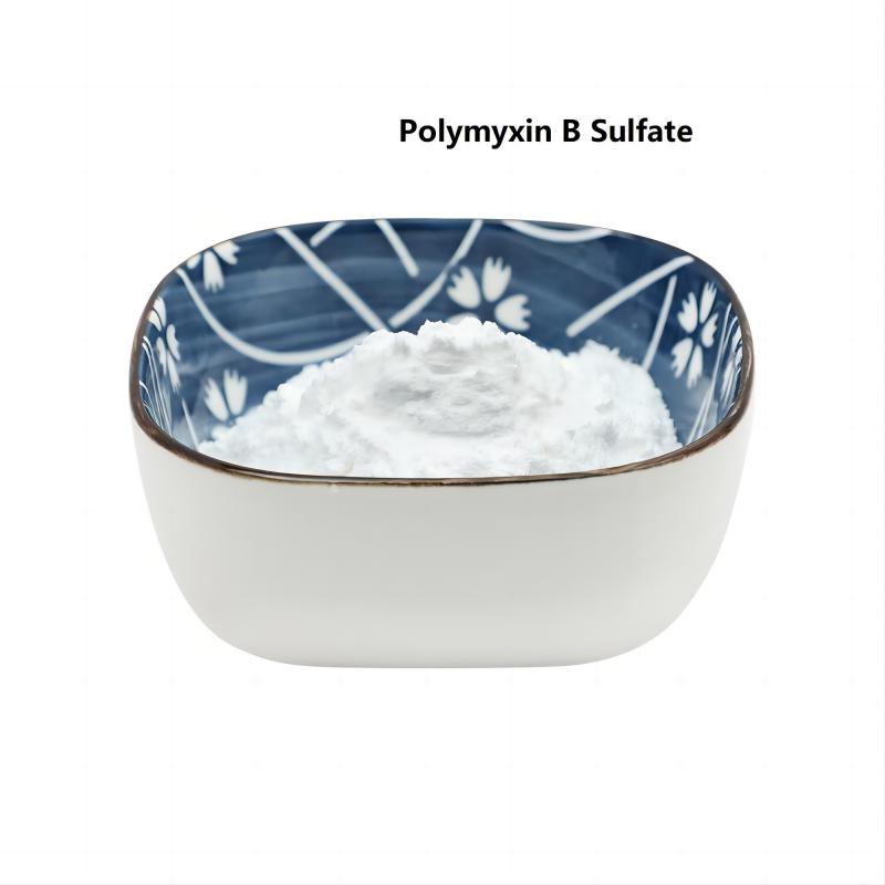 Raw Material Polymyxin B sulfate Powder