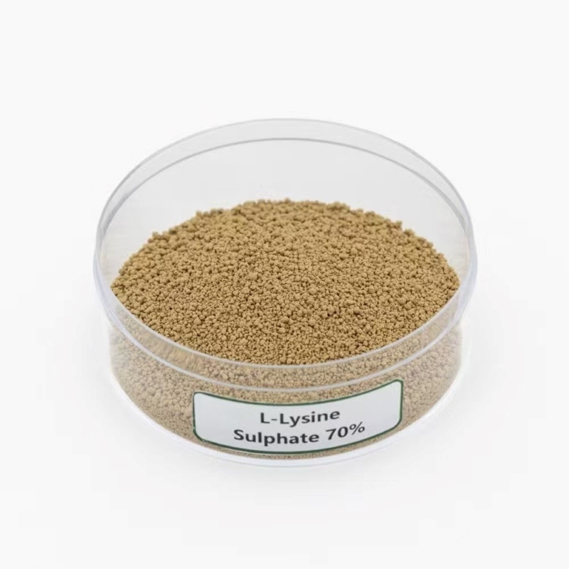 L-Lysine Sulphate 70% Feed Additives